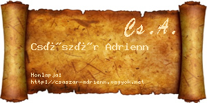 Császár Adrienn névjegykártya